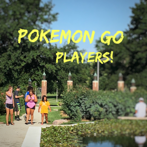 Pokemon Go Players